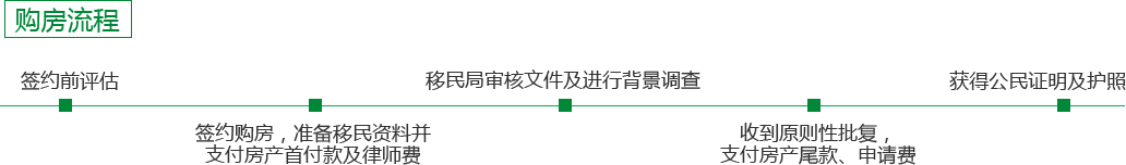 圣基茨護照申請流程